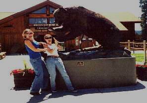 Click for more Yellowstone pictures