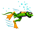 click here to return to "start" page