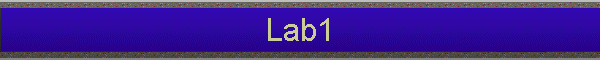 Lab1