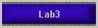 Lab3