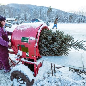 Tree cutting equipment
