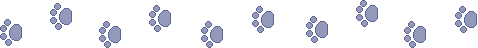 tedln1c.gif (1113 bytes)