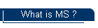 What is MS ?