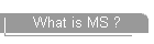 What is MS ?