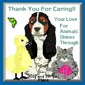 Love For All Animals