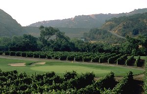wente