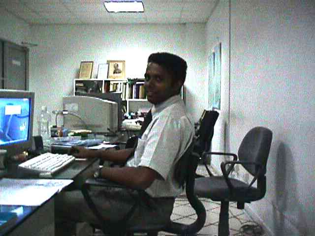 During the working hours