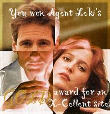 Agent Leki - site no longer exists