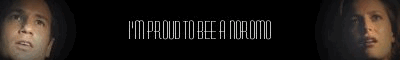 Proud To Bee A Noromo