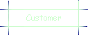 Customer