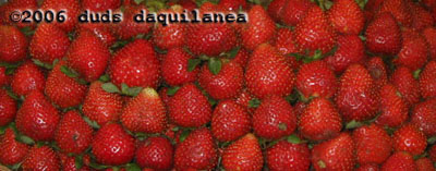 strawberries (56K)