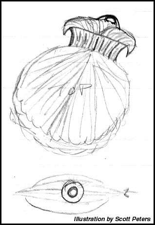Thieving Blackshell