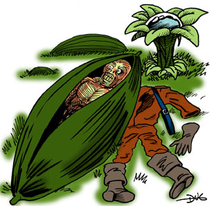 Clone Plant