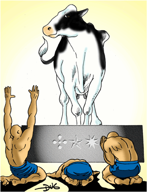 Magic Cow