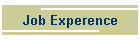 Job Experence