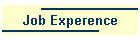 Job Experence