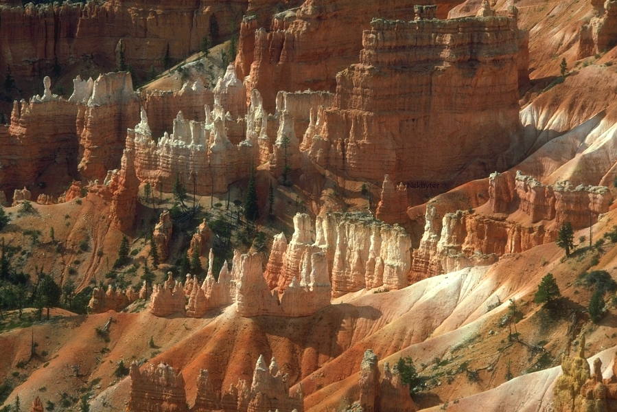 Click Here For Full Screen View