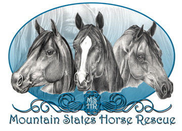 Logo generously donated by Sherrie Engler.  Thank you Sherrie!