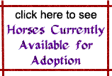 Click here to see horses available for adoption