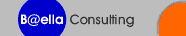 Baella Consulting