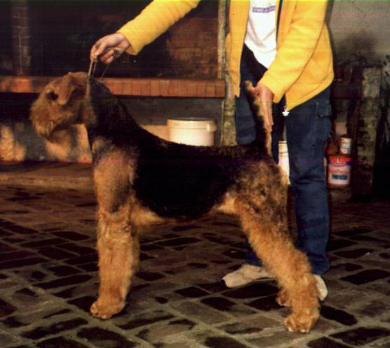 DomleosBaniMary04.jpg (129737 bytes)