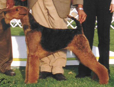 telma camada.jpg (30380 bytes)