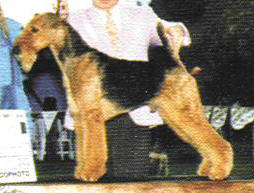 trevor.jpg (15420 bytes)