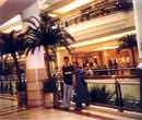 Those are the 4 floors of shopping inside the Petronas