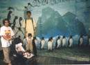 Together with the flightless