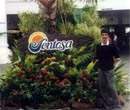 Sentosa - Island of Many Pleasures