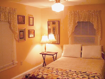 with ceiling fan