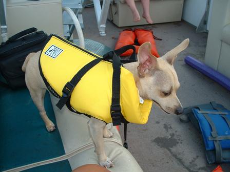 Pepper's flotation device