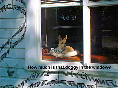 How much is that doggie in the window?