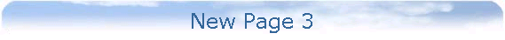 New Page 3