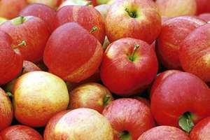 Apples!