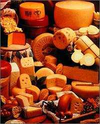That's a lot of cheeeeesseee!