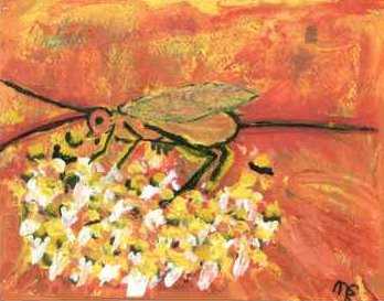'Wasp' 
� Madeleine St. Romain