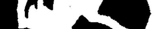 Movimient Social Republic� de Gal�cia