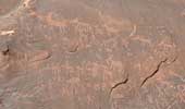 Petroglyphs at Sand Island outside of Bluff, Utah