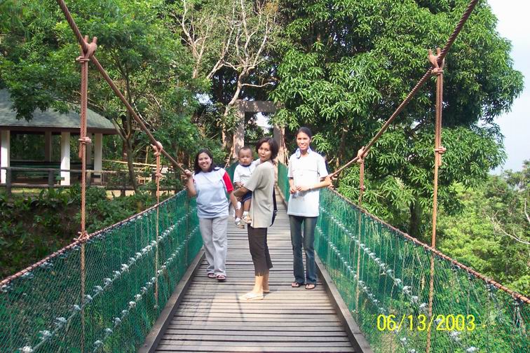 hanging bridge