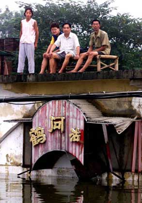 Sitting on the Roof