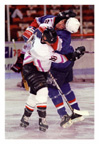 Hockey Brawl