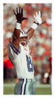 Michael Irvin