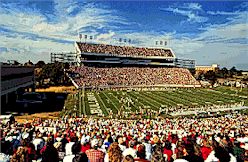 Copy of stadium.jpg (20429 bytes)