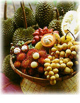 Fruit.jpg (27524 bytes)