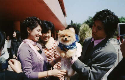For all you animal lovers out there, our little puppy (who isn't so puppy anymore)...