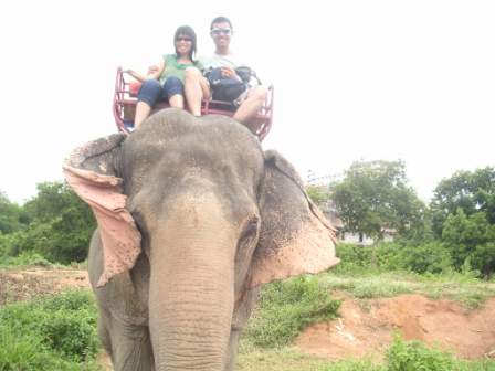Elephant-back riding in Pattaya