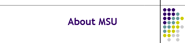 About MSU