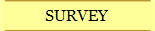 SURVEY
