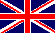 view this page in english